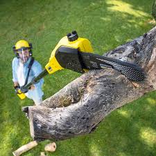 Best Lawn Mowing Services  in Hearne, TX