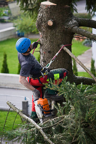 Best Leaf Removal Services  in Hearne, TX