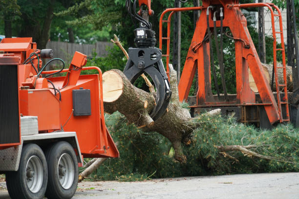 Best Commercial Tree Services  in Hearne, TX